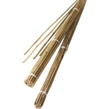 Cañas de Bambú 2.1m